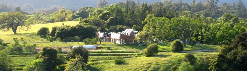 The Pragmatic Steward