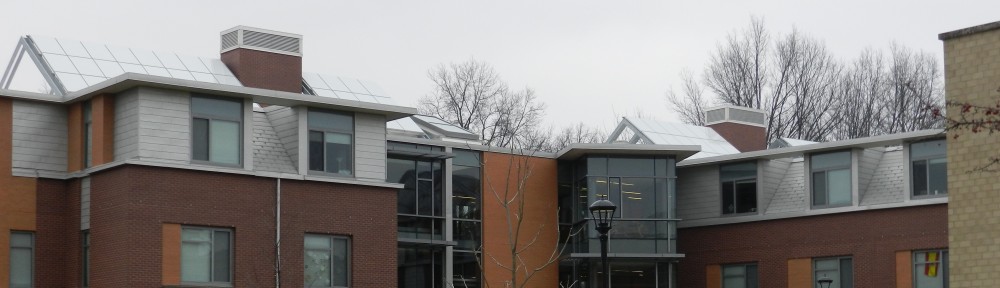 The Pragmatic Steward